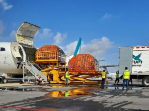 Demanda de carga aérea crece 2,2% en mayo pese a tensiones comerciales: IATA