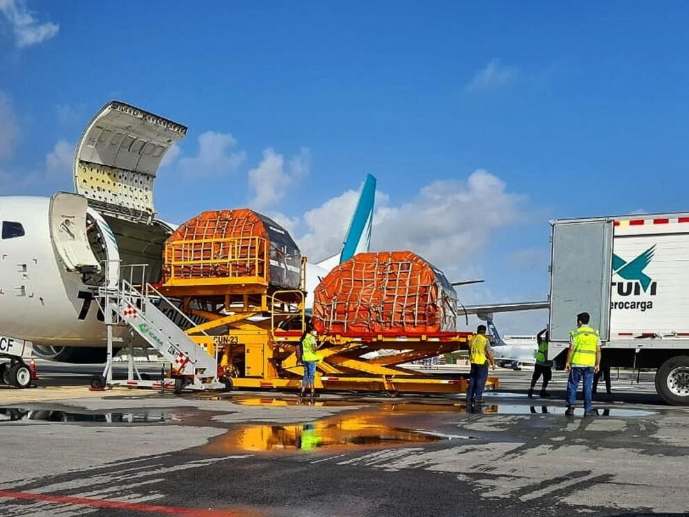 Demanda de carga aérea crece 2,2% en mayo pese a tensiones comerciales: IATA