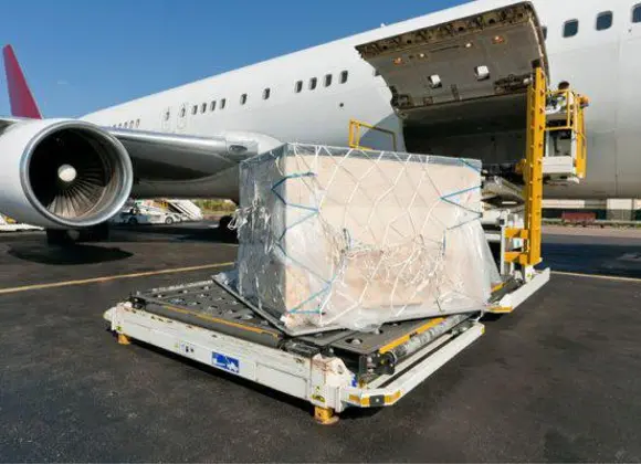 Transporte aéreo de carga en el A.I. Plan de Guadalupe cayó hasta 25 %